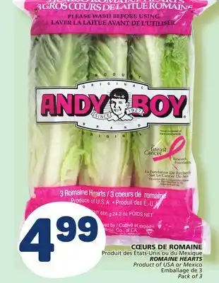 Marché Bonichoix Romaine hearts offer
