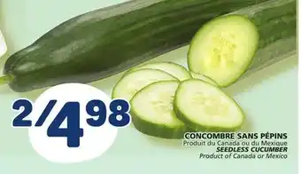 Marché Bonichoix Seedless cucumber offer