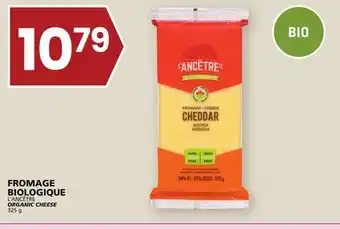 Rachelle-Bery Grocery L'ancêtre organic cheese offer