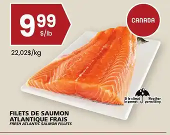 Rachelle-Bery Grocery Fresh atlantic salmon fillets offer