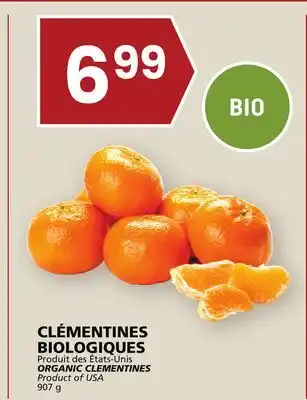 Rachelle-Bery Grocery Organic clementines offer