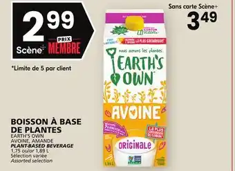 Rachelle-Bery Grocery Earth's own avoine, amande plant-based beverage offer