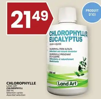 Rachelle-Bery Grocery Land art chlorophyll offer