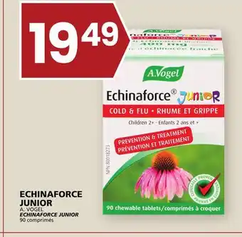 Rachelle-Bery Grocery A. vogel echinaforce junior offer