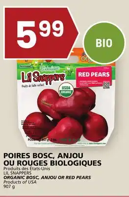 Rachelle-Bery Grocery Lil snappers organic bosc, anjou or red pears offer