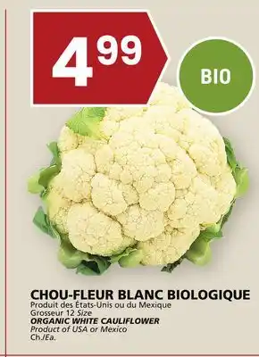Rachelle-Bery Grocery Organic white cauliflower offer
