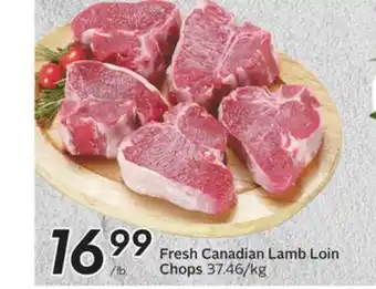 Sobeys Fresh canadian lamb loin chops offer