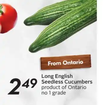 Sobeys Long english seedless cucumbers offer
