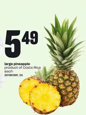 Independent Grocer Large pineapple, each offer