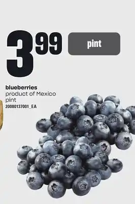 Independent Grocer Blueberries, pint offer