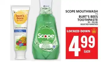 Food Basics Scope mouthwash or burt's bees toothpaste offer