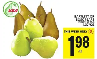 Food Basics Bartlett or bosc pears offer