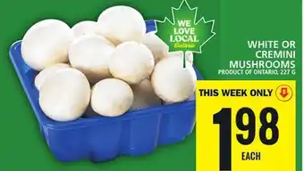 Food Basics White or cremini mushrooms offer