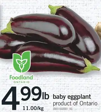 Fortinos Baby eggplant offer