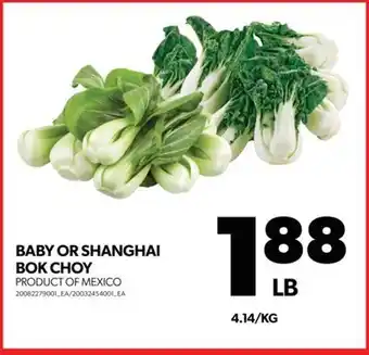 Real Canadian Superstore Baby or shanghai bok choy offer