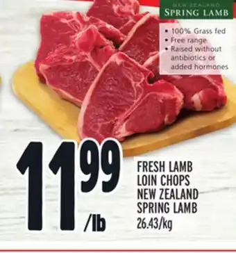 Metro Fresh lamb loin chops new zealand spring lamb offer