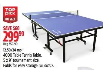 Canadian Tire 4000 table tennis table. 5 x 9´ tournament size offer