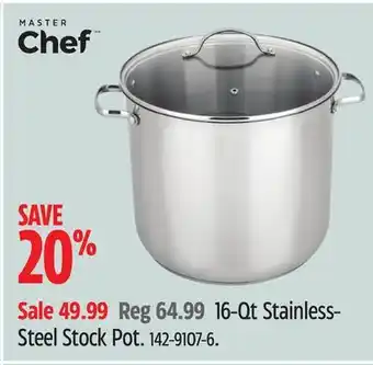 Canadian Tire Master chef 6-qt stainless- steel stock pot offer