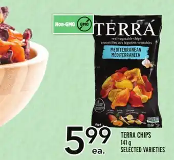 Metro Terra chips offer