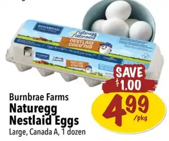 Farm Boy Burnbrae farms naturegg nestlaid eggs offer