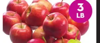 Giant Tiger 3 lb royal gala apples offer