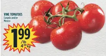 Marché Adonis Vine tomatoes offer