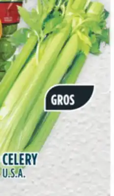 Marché Adonis Celery offer