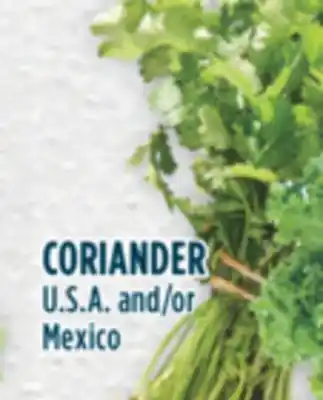 Marché Adonis Coriander offer