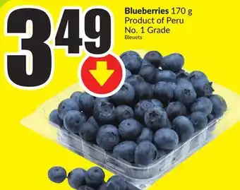 FreshCo Blueberries 170 g product of peru no. 1 grade offer