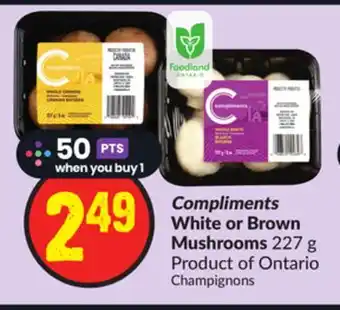 FreshCo Compliments white or brown mushrooms 227 g product of ontario offer
