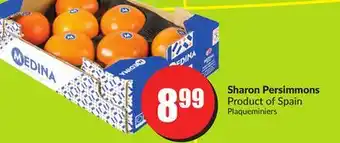 Chalo FreshCo Sharon persimmons product of spain offer