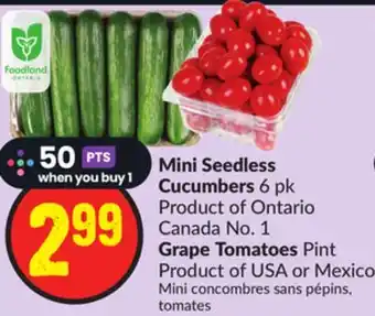 Chalo FreshCo Mini seedless cucumbers 6 pk product of ontario canada no. 1 grape tomatoes pint product of usa or mexico offer
