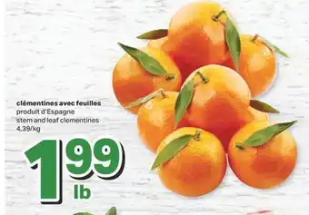 L'Intermarché Clémentines avec feuilles offer