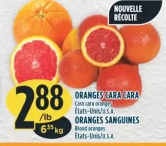 Marché Adonis Oranges cara cara offer