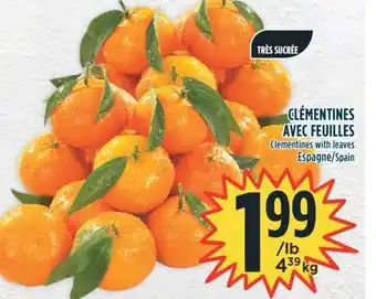 Marché Adonis Clémentines avec feuilles offer