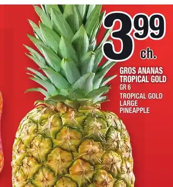 Marche Ami Gros ananas tropical gold | tropical gold large pineapple offer