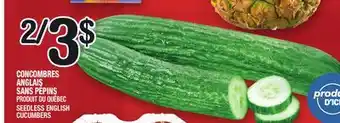 Concombres anglais sans pépins | seedless english cucumbers