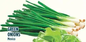 Marché Adonis Green onions offer