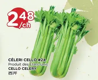 Kim Phat Cello celery offer