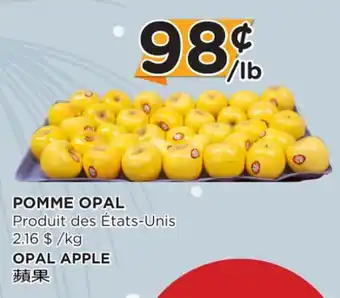 Kim Phat Opal apple offer