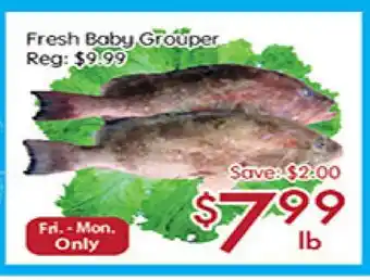 Sunny Food Mart Fresh baby grouper offer
