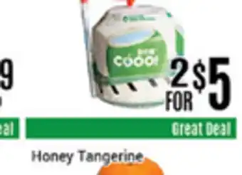 Nations Fresh Foods Young coconut offer