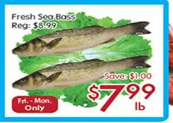 Sunny Food Mart Fresh sea bass offer