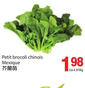 T&T Supermarket Petit brocoli chinois offer