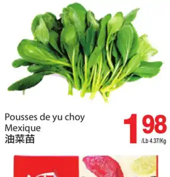 T&T Supermarket Pousses de yu choy offer