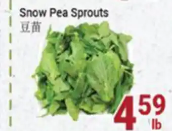 Oceans Fresh Food Market Snow pea sprouts offer