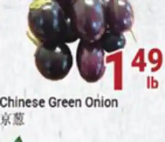 Oceans Fresh Food Market Chinese green onion offer