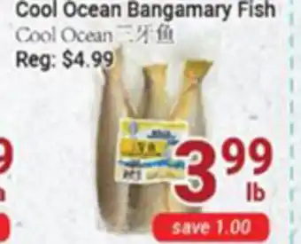 Oceans Fresh Food Market Cool ocean bangamary fish offer