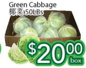 Ample Food Market Green cabbage offer