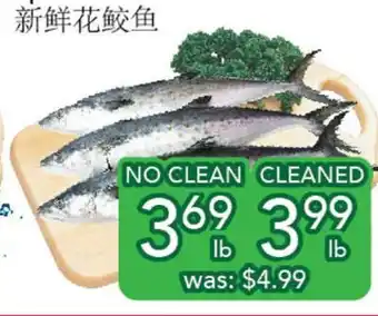 Ample Food Market Spanish mackerel offer
